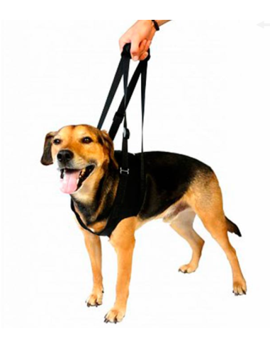 VETLANDO perro arnes rehabilitacion S