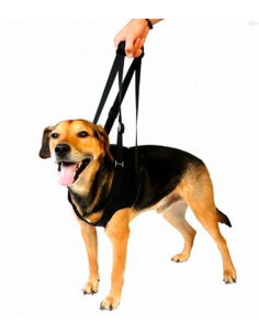 VETLANDO perro arnes...