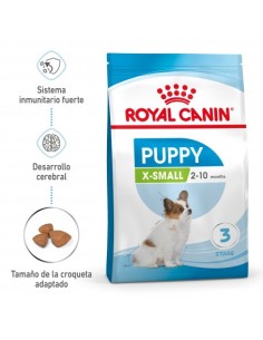 ROYAL JR. XSMALL 500 GR