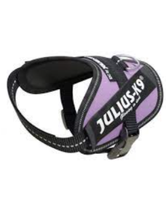 JULIUS K9 IDC lila talla...