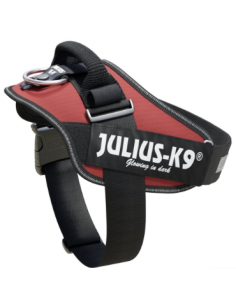 JULIUS K9 IDC burdeos talla...