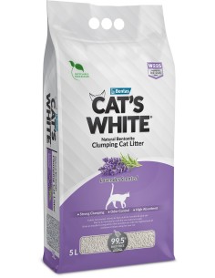 CAT'S WHITE arena...