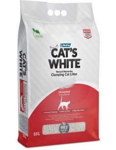 CAT'S WHITE arena...
