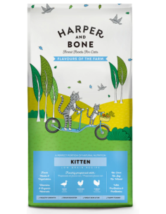 HARPER & BONE gato kitten...