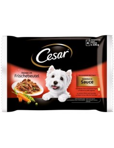 CESAR perro adulto salsa...