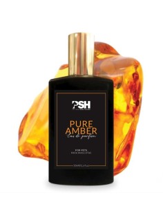 PSH perfume Pure Amber 50 ml