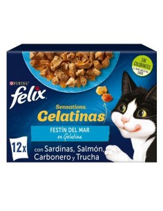 FELIX gato adulto...