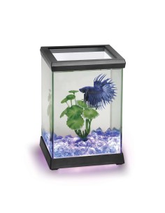 ICA Betta space led kit...
