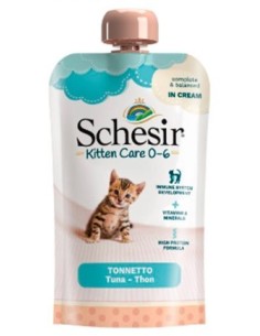 SCHESIR gato kitten crema...