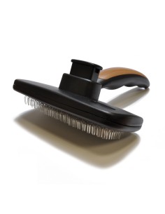 BEAUTY CARDA AUTOLIMPIEZA...