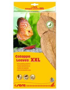 SERA Catappa Leaves XXL...