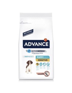 ADVANCE perro puppy...