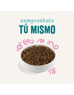 EDGARD&COOPER perro adulto... 2