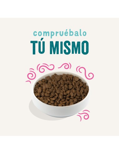 EDGARD&COOPER perro adulto plant...