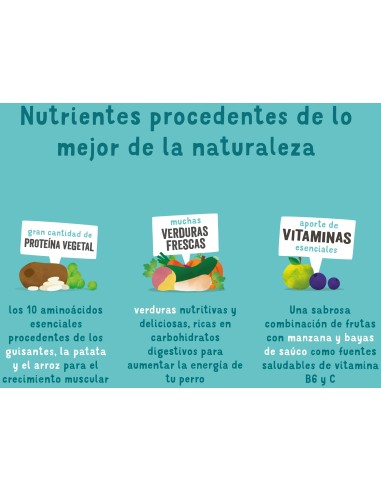 EDGARD&COOPER perro adulto plant...