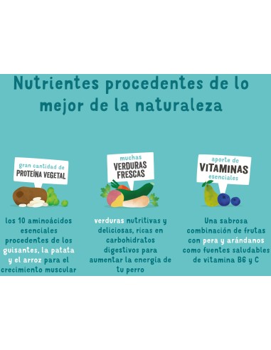 EDGARD&COOPER perro adulto plant...