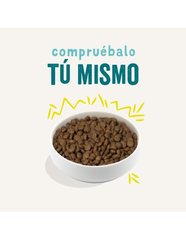 EDGARD&COOPER perro adulto plant...