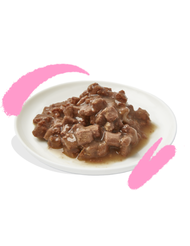 EDGARD&COOPER perro adulto plant...