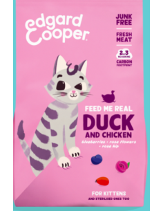 EDGARD&COOPER gato kitten...