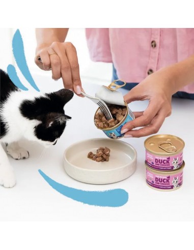 EDGARD&COOPER gato kitten wet...