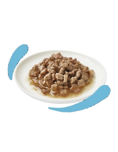 EDGARD&COOPER gato kitten wet...