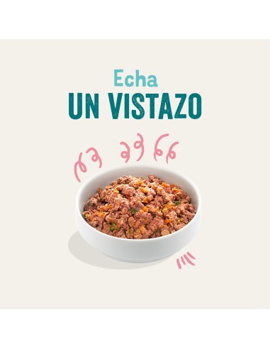 EDGARD&COOPER perro puppy pato y...