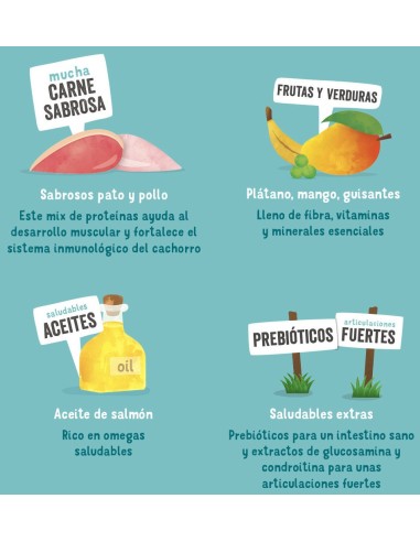 EDGARD&COOPER perro puppy pato y...