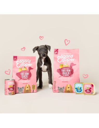 EDGARD&COOPER perro puppy pato y...