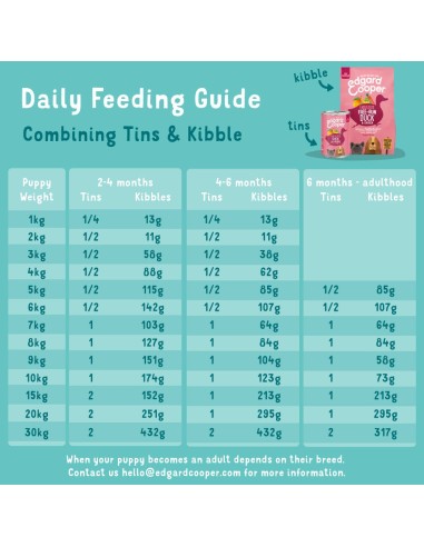 EDGARD&COOPER perro puppy pato y...