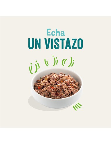 EDGARD&COOPER perro adulto cordero y...