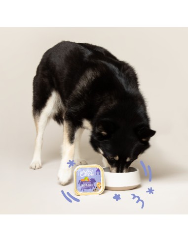 EDGARD&COOPER perro adulto vacuno...