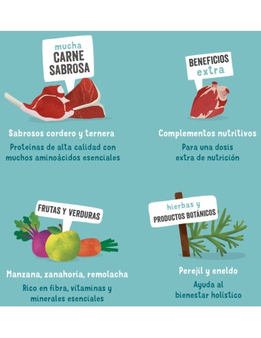 EDGARD&COOPER perro adulto cordero y...