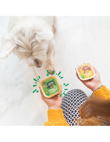 EDGARD&COOPER perro adulto cordero y...