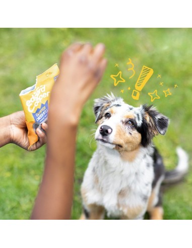 EDGARD&COOPER perro snack pollo 50 gr