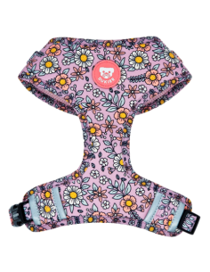 DUKIER perro arnés...