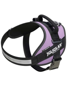 JULIUS K9 IDC lila talla 0...