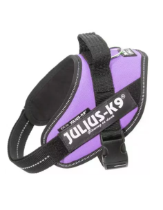 JULIUS K9 IDC lila talla...
