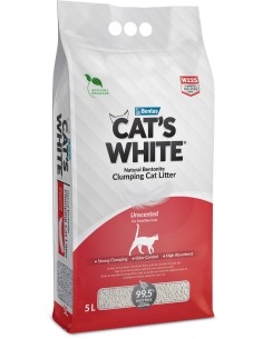 CAT'S WHITE arena...