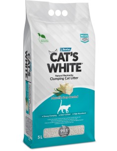 CAT'S WHITE arena...