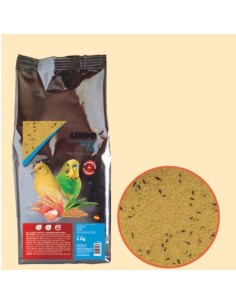 LINDO pasta de cria huevo...