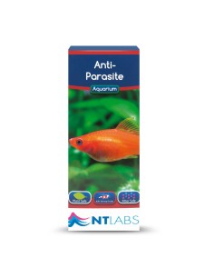 ICA NT tratamiento...