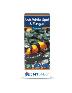 ICA NT tratamiento anti...