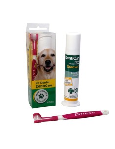 STANGEST dentican kit dental