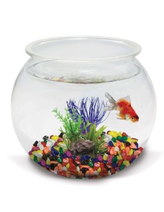 ICA pecera redonda 25 cm 8 L