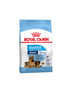 ROYAL STARTER MAXI 4 KG