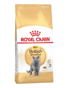 ROYAL CAT BRITISH SHORTHAIR...