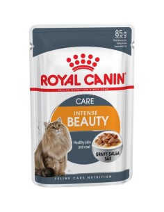 ROYAL CANIN gato adulto...