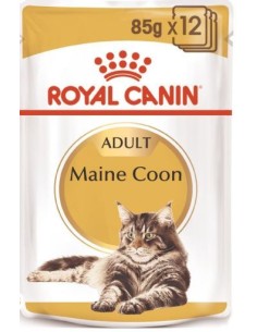 ROYAL CANIN gato adulto...
