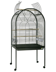 ICA ave jaula Selva negra...