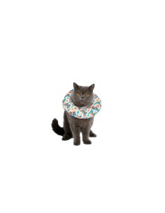 FREEDOG collar isabelino...